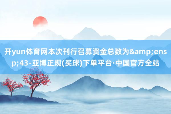 开yun体育网本次刊行召募资金总数为 43-亚博正规(买球)下单平台·中国官方全站